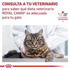 Royal Canin VD Feline Senior Consult Stage 1 +7 Anos - 1,5 Kgs #3 - RC2724202