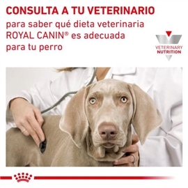 Royal Canin Comida Húmida Hepatic Canine - 420 Grs #1 - RC183156320