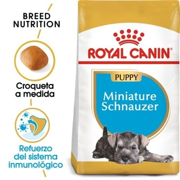 Royal Canin Miniature Schnauzer Puppy Ração Seca Cachorro de Raça