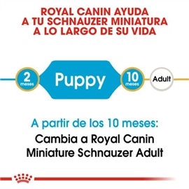 Royal Canin Miniature Schnauzer Puppy Ração Seca Cachorro de Raça - 1,5 Kgs #4 - RC4131200