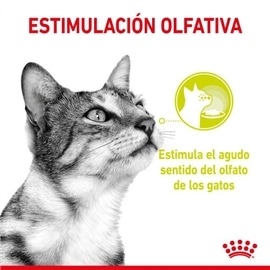 Royal Canin Sensory Smell Ração Húmida em Molho para Gato Adulto - 85 Grs #7 - RC9003579018507
