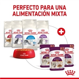 Royal Canin Sensory Taste Ração Húmida em Molho para Gato Adulto - 85 Grs #6 - RC9003579018859