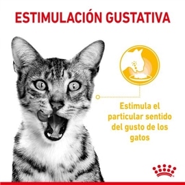Royal Canin Sensory Taste Ração Húmida em Molho para Gato Adulto - 85 Grs #8 - RC9003579018859