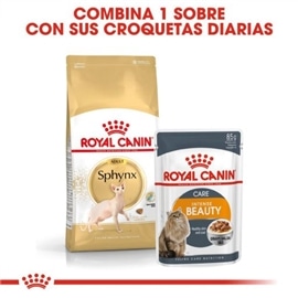 Royal Canin Sphynx Ração Seca Gato Adulto de Raça - 2 Kgs #4 - RC2556200