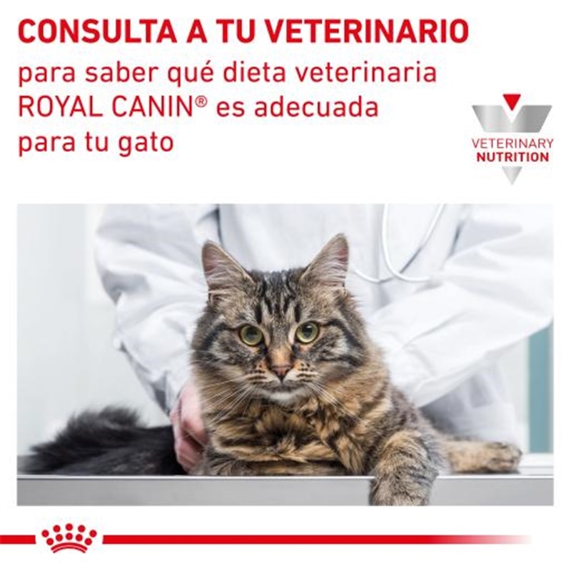 Royal Canin VD Feline Neutered Balance - 0.085 #2 - RC4088001