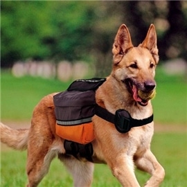 Ferplast Mochila para cães Dog Scout #1 - AN602000250