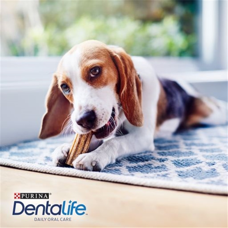 Dentalife Snack para Cuidados Orais em Cães Pequenos de 7 a 12 Kg #9 - NE12426694