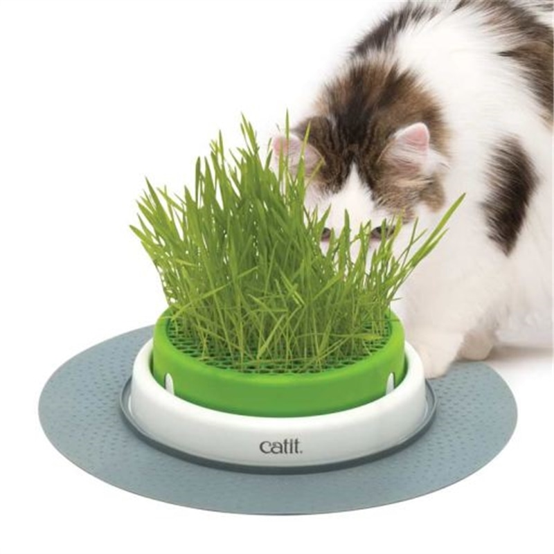 Catit Senses 2.0 Grass Planter - 18 cm - TRHC50755