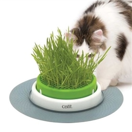 Catit Senses 2.0 Grass Planter - 18 cm #1 - TRHC50755