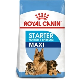Royal Canin - Maxi Starter - 15kg - RC2994801