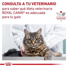 Royal Canin Feline Renal Special - 400 Grs #10 - RC3949001