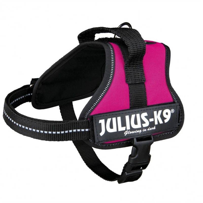 Julius K9 Julius K-9 Peitoral para cão - Fushia - T3 - OREXTX15068