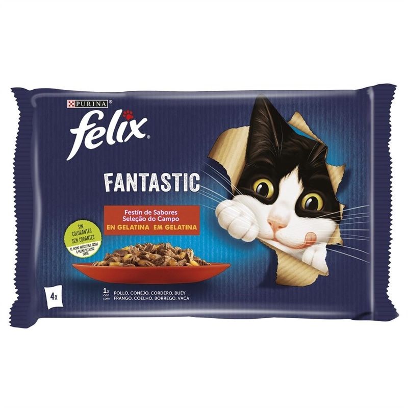 Felix Felix Fantastic - Seleção do campo em gelatina -  Pack 4x85 Grs - NE12480172