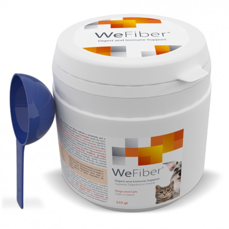 Wepharm WeFiber - Pó - 225 grs - HE1010448