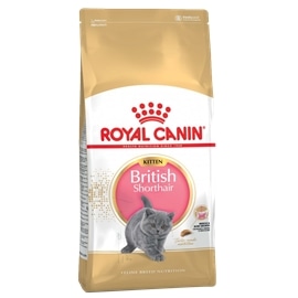 Royal Canin Kitten - 10 kgs - RC612134410