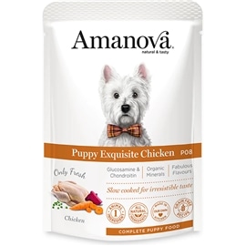 AmaNova P08 Pouch Puppy Exquisite Chicken - 100  Grs - AMZAMT10PP1A