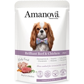 AmaNova P01 Pouch Brilliant Beef & Chicken - 100  Grs - AMZAMT53BC1A