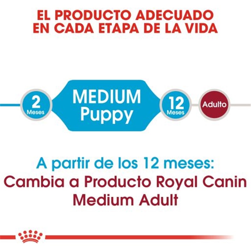 Royal Canin Medium Puppy - 4 kgs #4 - RC322159280