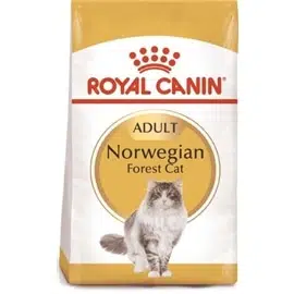 Royal Canin Norwegian Forest Cat - 10 kgs - RC652201100