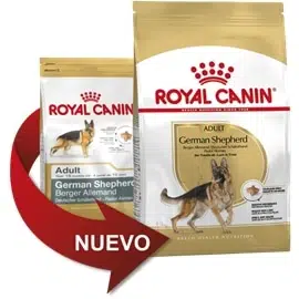 Royal Canin Pastor Alemão adulto - 11 kgs - RC2518801