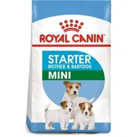 Royal Canin Mini Starter Mother&Babydog - 4 Kgs - RC2990402