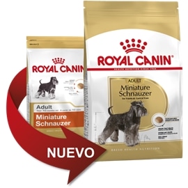 Royal Canin Miniature Schnauzer Adult - 3 kgs - RC35210280