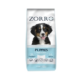 Zorro Dog Puppy - 20 Kgs - GEZORRO-01-01