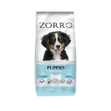 Zorro Dog Puppy