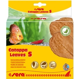 sera Catappa Leaves - S #1 - SERA32273