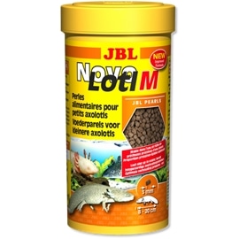 JBL NovoLotl M - PE3035480