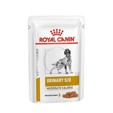Royal CaninUrinary S/O Moderate Calorie finas fatias em molho