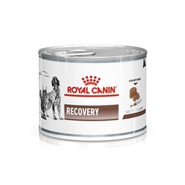Royal Canin Recovery mousse ultra suave - 195 Grs - RC183120470