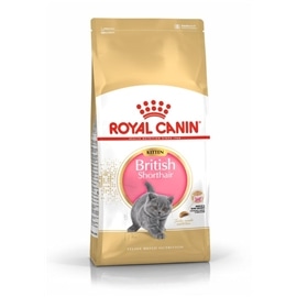 Royal Canin - British Shorthair Kitten - 2kg - RC652193110