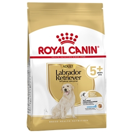 Royal Canin - Labrador Retriever Adult - 12 kgs - RC352114180