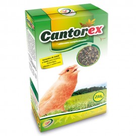 Cantorex Sementes de saúde e canto - 100 Grs - OREX01251