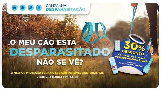 Gatos